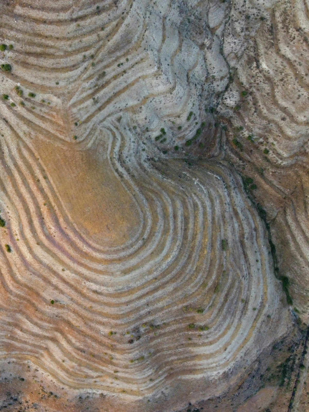 Earth
